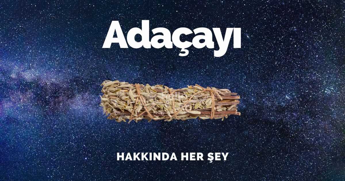 adaçayı tütsü nedir adaçayı tütsüsü