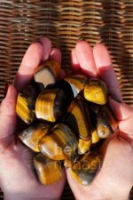 Kaplan Gözü Taşı (Tiger Eye) Doğal Çakra Taşı